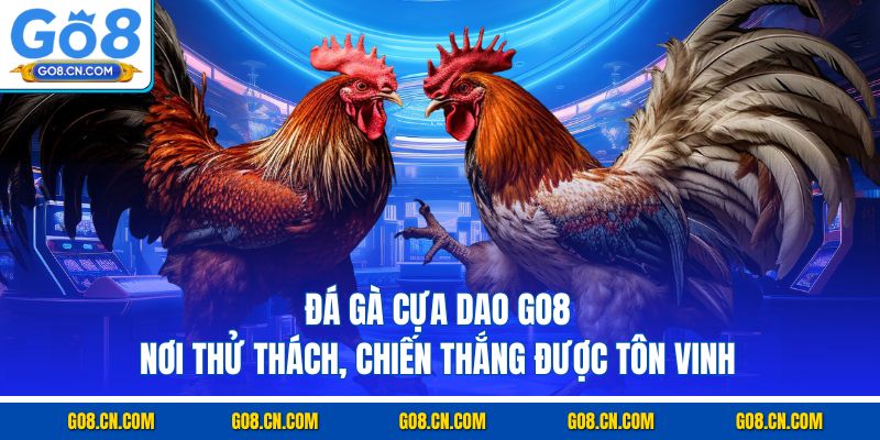 Đá gà cựa dao go8 nơi thử thách chiến thắng được tôn vinh